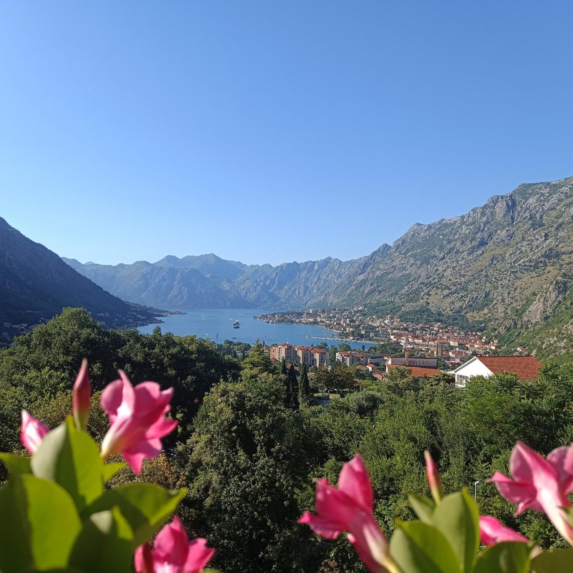 Radgost Kotor Apartments Exterior photo